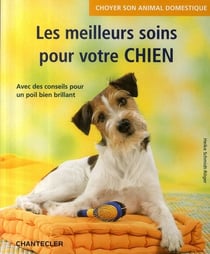Choyer son animal domestique - les meilleurs soins pour votre chien