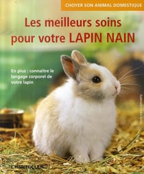 Choyer son animal domestique - les meilleurs soins pour votre lapin nain