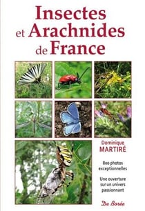 Insectes et arachnidés de France