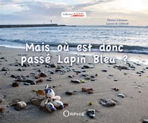 Mais où est donc passé lapin bleu ?