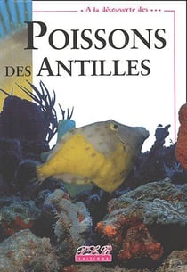 A La découverte Des Poissons Des Antilles