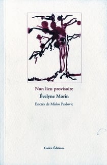 Non lieu provisoire