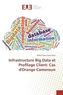 Infrastructure Big Data et profilage client : cas d'Orange Cameroun