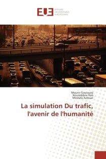 La simulation du trafic, l'avenir de l'humanité