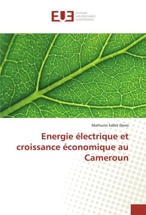 Energie electrique et croissance economique au cameroun
