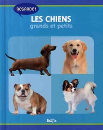 Les chiens - grands et petits