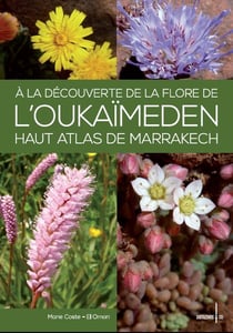 À la découverte de la flore de l'oukaïmeden - haut atlas de marrakech