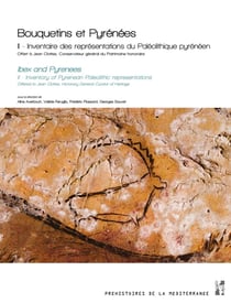 Bouquetins et Pyrénées Tome 2 : inventaire des représentations du paléolithique pyrénéen