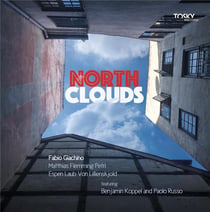 North clouds / Fabio Giachino