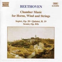 Musique De Chambre Pour Cor, Vents Et Cordes