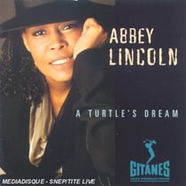 A Turtle's Dream
