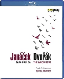 The wood dove
