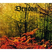 Autumn aurora