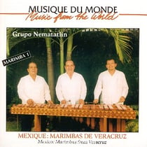 Mexique : marimbas de veracruz : marimba 1