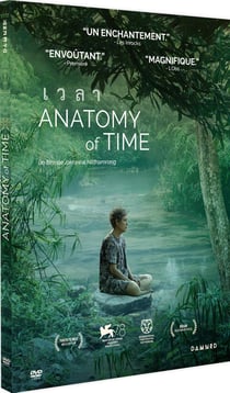 Anatomy of Time