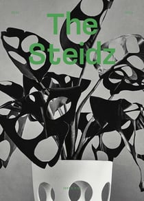 The Steidz n.10