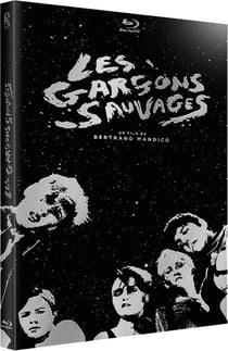 Les Garçons sauvages