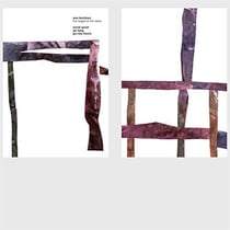 The height of the reeds