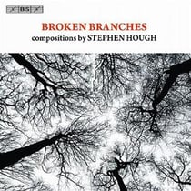 Broken branches