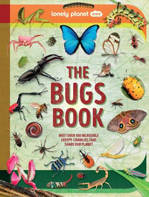 The Bugs Book (édition 2025)