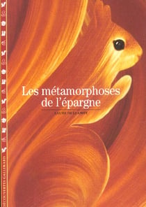 Les métamorphoses de l'épargne