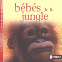 Bebes de la jungle