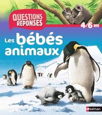 Les bébés animaux