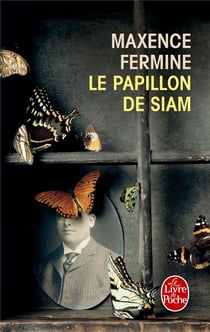 Le papillon de siam