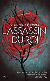 Witch Hunter T02 L'Assassin Du Roi