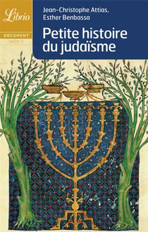 Petite histoire du judaisme