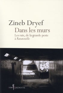 Dans les murs - les rats, de la grande peste à Ratatouille
