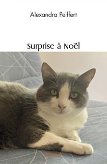 Surprise à Noël