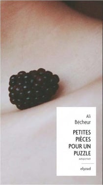 Petites pieces pour un puzzle