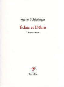 Éclats et débris : un testament