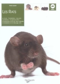 Rats (les)