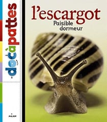 L'escargot - paisible dormeur