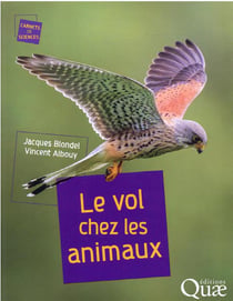 Le vol chez les animaux