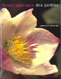 Fleurs sauvages des jardins