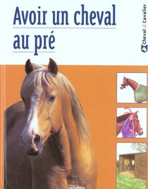 Le cheval au pre