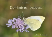 Éphémères beautés