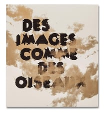 Des images comme des oiseaux - une traversée dans la collection photographique du CNAP
