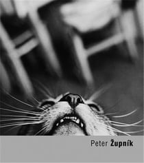 Peter Zupnik (torst 2011)