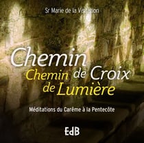 Chemin de croix chemin de lumière : méditations du carême à la pentecôte