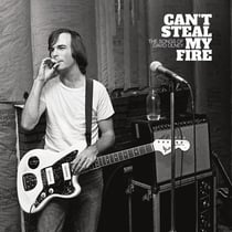 Can't Steal My Fire - The Songs Of David Olney
