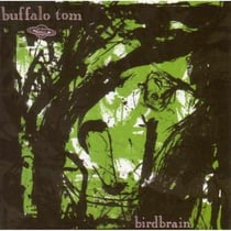 Birdbrain