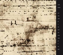 And who shall go to the ball ? and what shall go to the ball ?