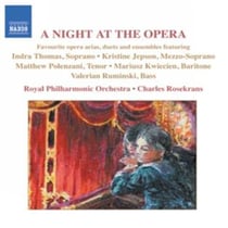 Une nuit a l'opera
