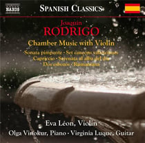 Musique de chambre avec violon