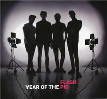 Year of the pig