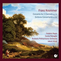 Concerto pour deux clarinettes & orchestre, op. 35 -